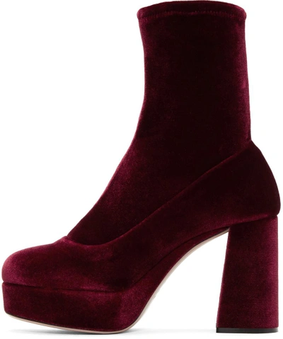 Shop Miu Miu Burgundy Velvet Platform Sock Boots In 007 Bordeaux