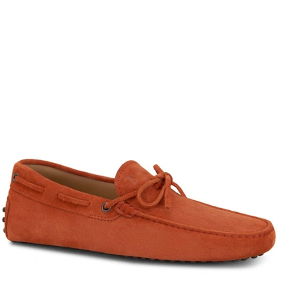 Tod's Gommino Driving Shoes In Suede In Orange