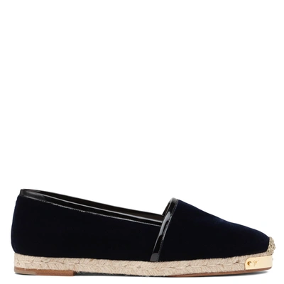 Shop Giuseppe Zanotti - Dark Blue Velvet Espadrilles Santiago In Black