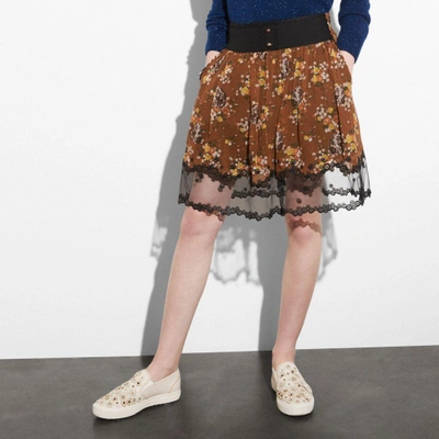 Shop Coach Prairie Dog Rose Tiered Skirt In Teak Multi