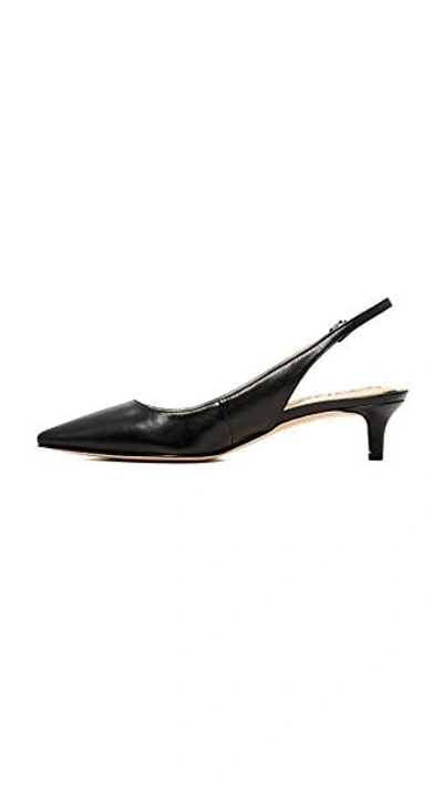 Shop Sam Edelman Ludlow Slingback Pumps In Black