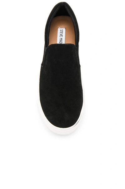 Shop Steve Madden Gills Sneaker In Black