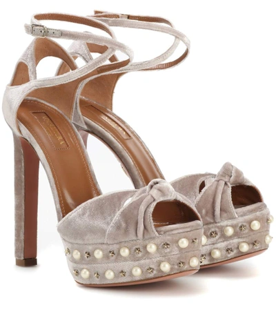 Aquazzura Harlow Pearls Velvet Platform Sandal, Light Gray In Neutrals