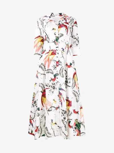 Shop Erdem Kasia Parrot Print Dress In 0