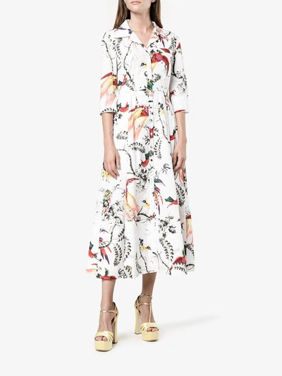 Shop Erdem Kasia Parrot Print Dress In 0