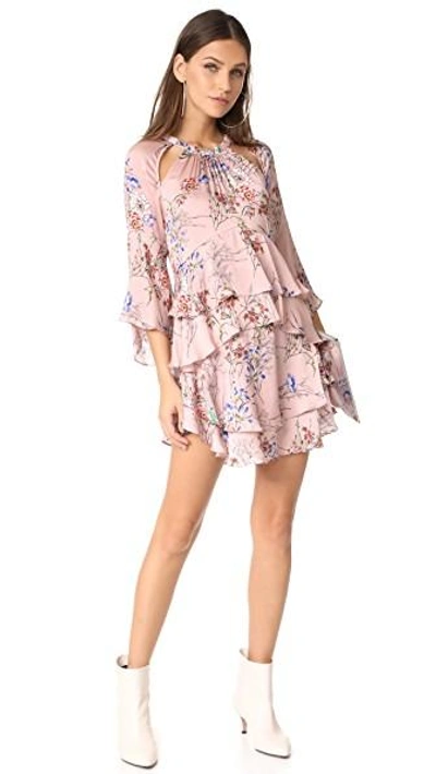 Shop Marissa Webb Emmeline Print Dress In Primrose Floral