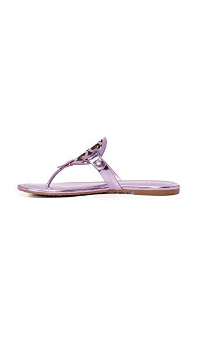 Shop Tory Burch Miller Thong Sandals In Rosa