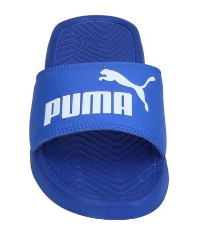 Shop Puma Sandals In Blue