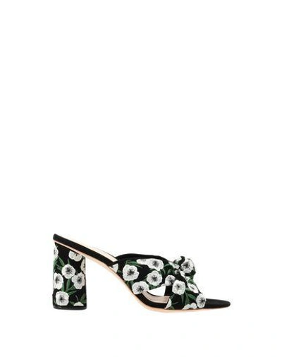 Shop Loeffler Randall Sandals In Black