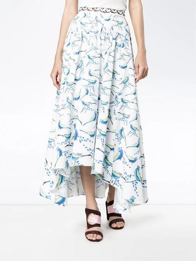 Shop Peter Pilotto Bird Print Asymmetric Skirt