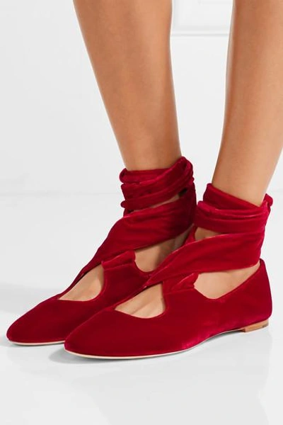 Shop The Row Elodie Lace-up Velvet Ballet Flats In Claret