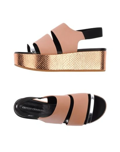 Cedric Charlier Sandals In Salmon Pink