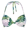 DOLCE & GABBANA Hydrangea Print Push Up Bikini Top