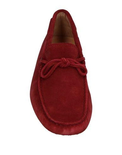 Shop Tod's In Maroon