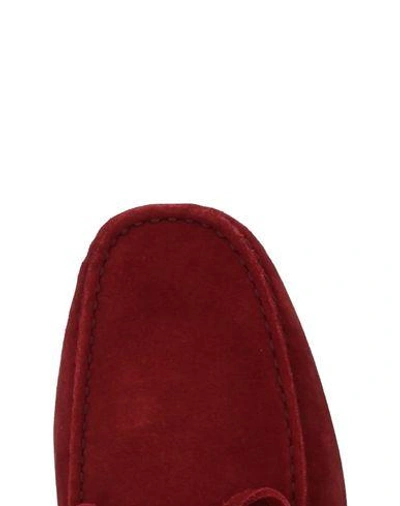 Shop Tod's In Maroon