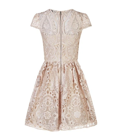 Shop Alice And Olivia Gracia Lace Skater Dress In Pink