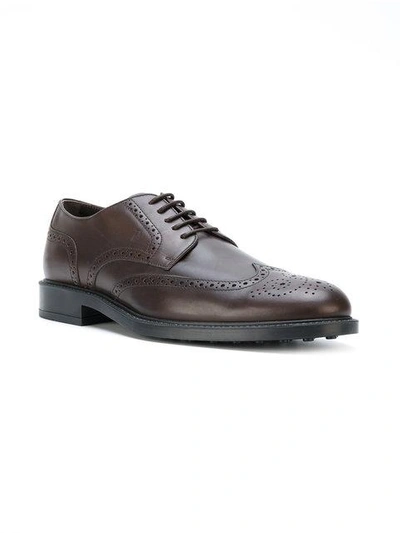 Shop Tod's Brogue Shoes In S800