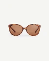 ANN TAYLOR Orchard Sunglasses,3974969723