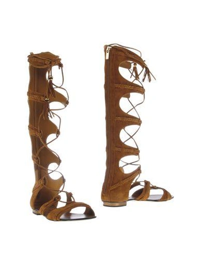 Shop Le Silla Boots In Brown