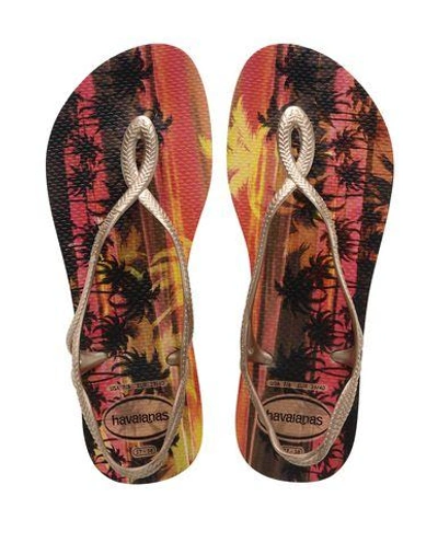 Shop Havaianas Toe Strap Sandals In Bronze