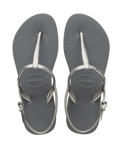 Shop Havaianas Flip Flops In Lead