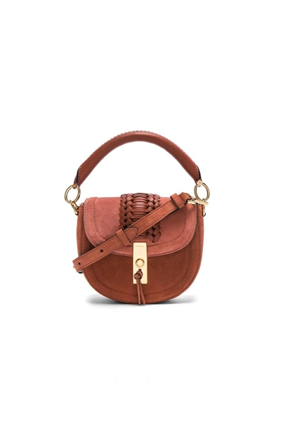 Shop Altuzarra Ghianda Tubular Top Handle Mini Bag In Rust & Rose