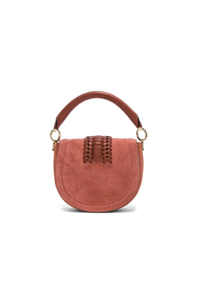 Shop Altuzarra Ghianda Tubular Top Handle Mini Bag In Rust & Rose