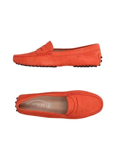 Tod's Suede Mocassino Driving Shoes In Coral