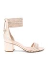 RACHEL ZOE CARRIE SANDAL,PF17F05013