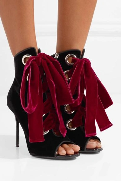 Shop Giuseppe Zanotti Lace-up Velvet Ankle Boots