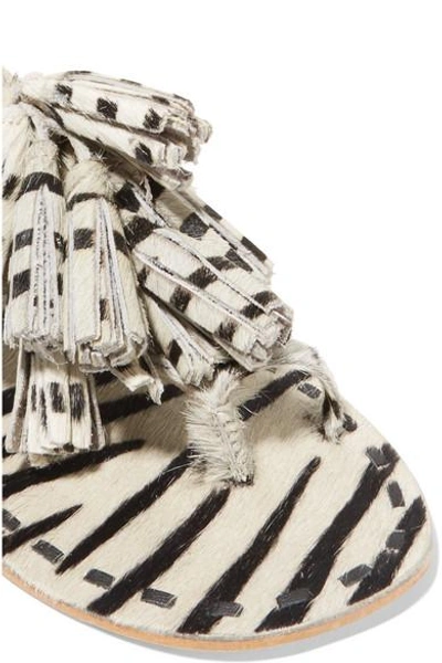 Shop Figue Scaramouche Tasseled Zebra-print Calf Hair Sandals In White