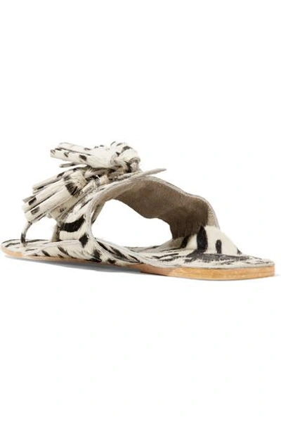 Shop Figue Scaramouche Tasseled Zebra-print Calf Hair Sandals In White