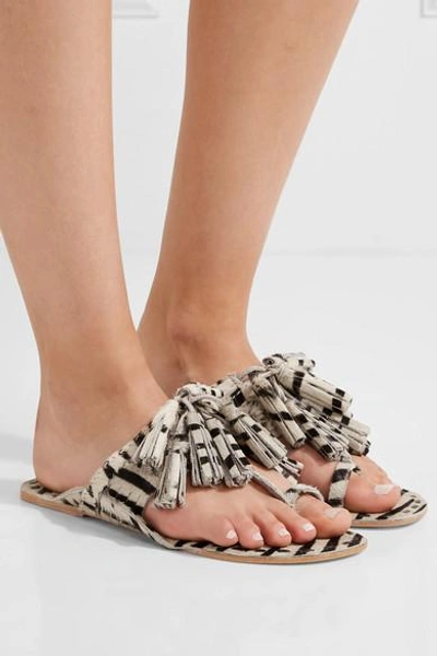 Shop Figue Scaramouche Tasseled Zebra-print Calf Hair Sandals In White