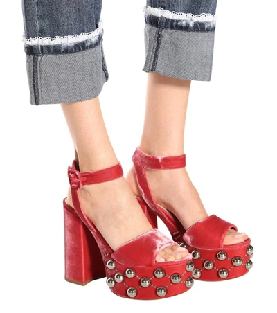 Shop Miu Miu Velvet Plateau Sandals In Red