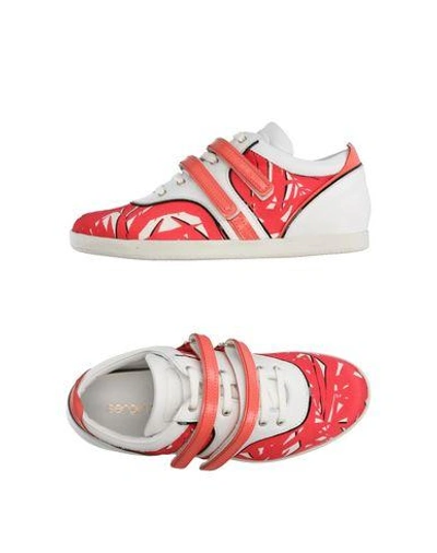 Shop Sergio Rossi Sneakers In Coral