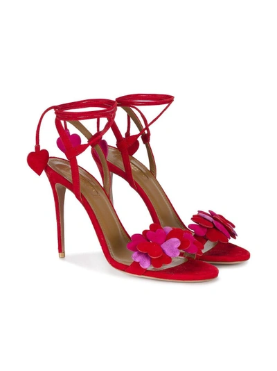 Shop Aquazzura Happy Hearts Sandal