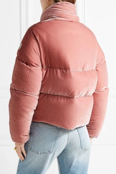 Shop Moncler Cercis Quilted Velvet Down Jacket