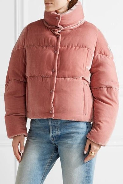 Moncler Cercis Quilted Velvet Down Jacket In Pink | ModeSens