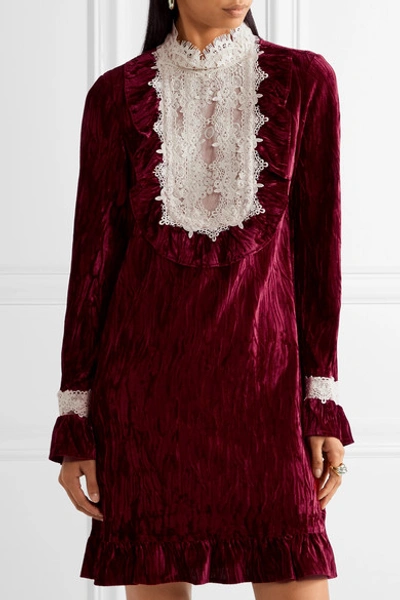 Shop Anna Sui To The One I Love Lace-trimmed Crushed-velvet Mini Dress In Burgundy