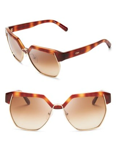 Shop Chloé Dafne Sunglasses, 57mm In Havana/brown Gradient