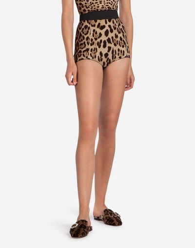 Dolce & Gabbana High-waisted Panties In Leopard Print Cady In Leo Print