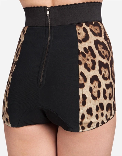 Shop Dolce & Gabbana High-waisted Panties In Leopard Print Cady In Leo Print