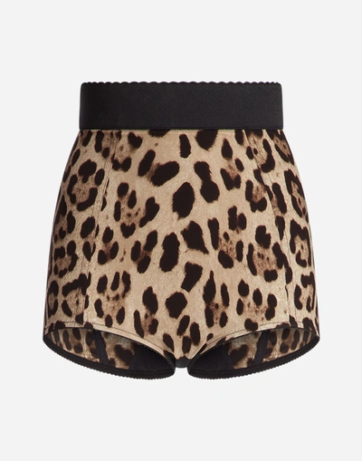 Shop Dolce & Gabbana High-waisted Panties In Leopard Print Cady In Leo Print