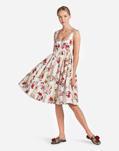 Dolce & Gabbana Floral-printed Cotton Dress In White