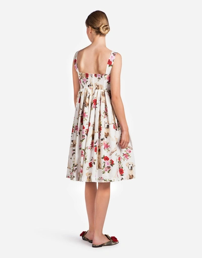 Shop Dolce & Gabbana Printed Cotton Dress In White