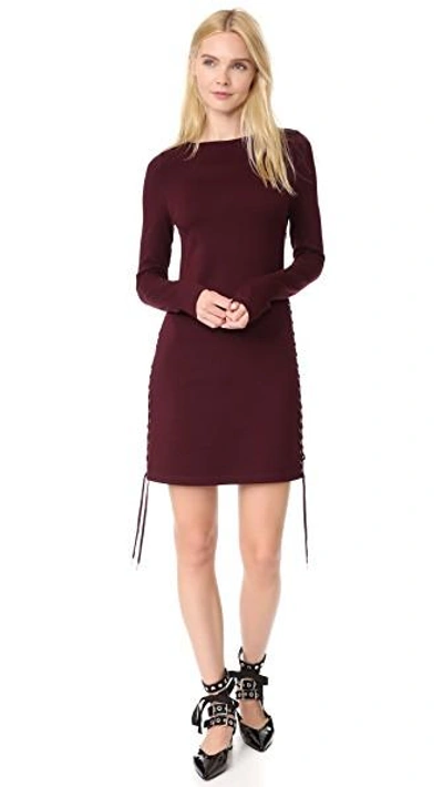 Shop Mcq By Alexander Mcqueen Lace Up Mini Dress In Port