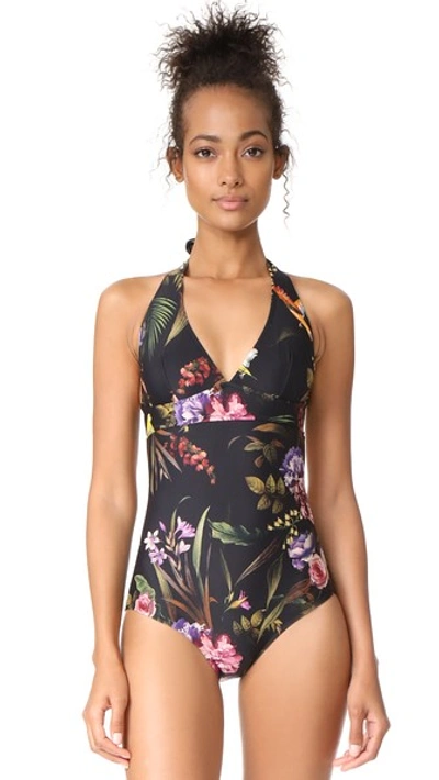 Fuzzi Stampa Hummingbird Swimsuit In Nero