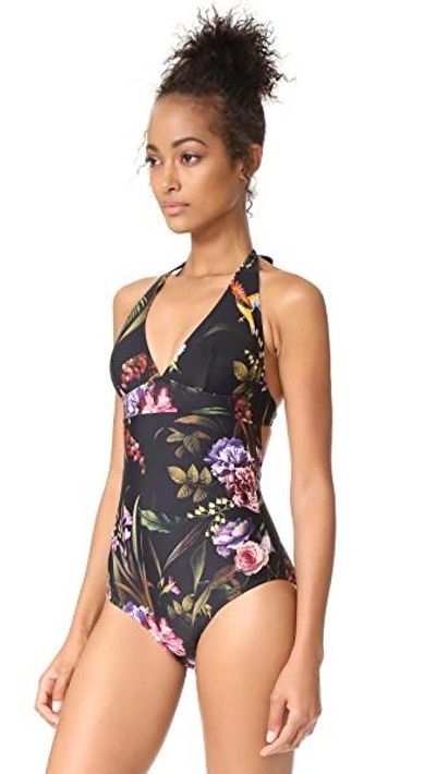 Shop Fuzzi Stampa Hummingbird Swimsuit In Nero