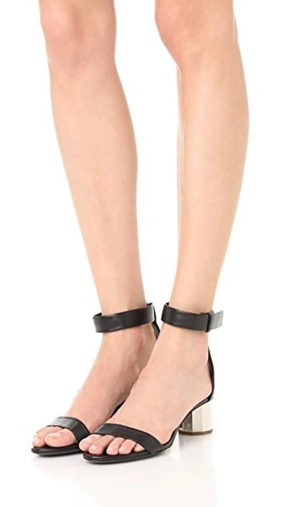 Shop Proenza Schouler Block Heel Sandals In Black