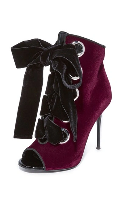 Shop Giuseppe Zanotti Mistico Booties In Burgundy